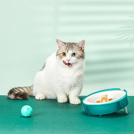 Cat Disposable Food Portable Bowl