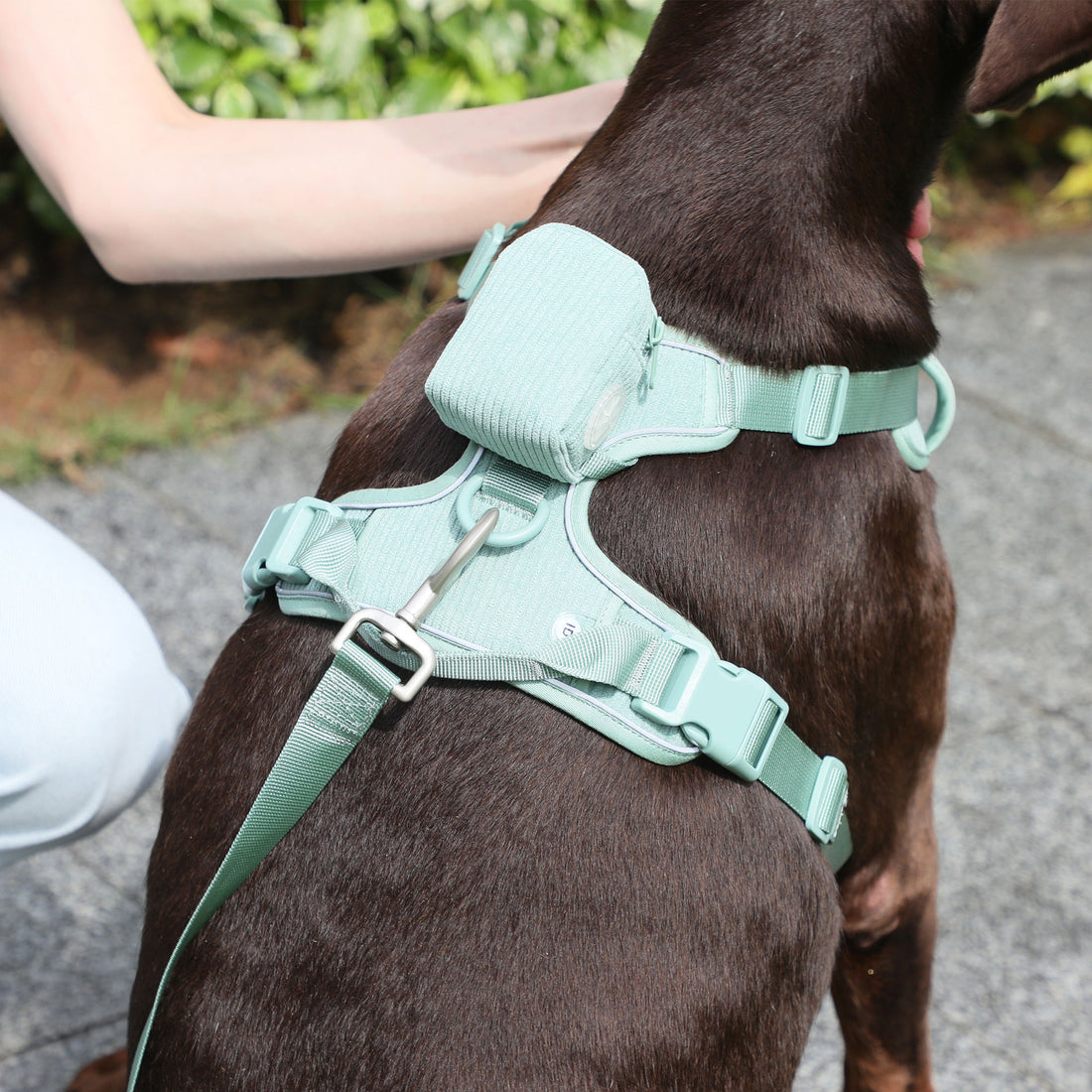 Pet Collar Explosion-proof Leash