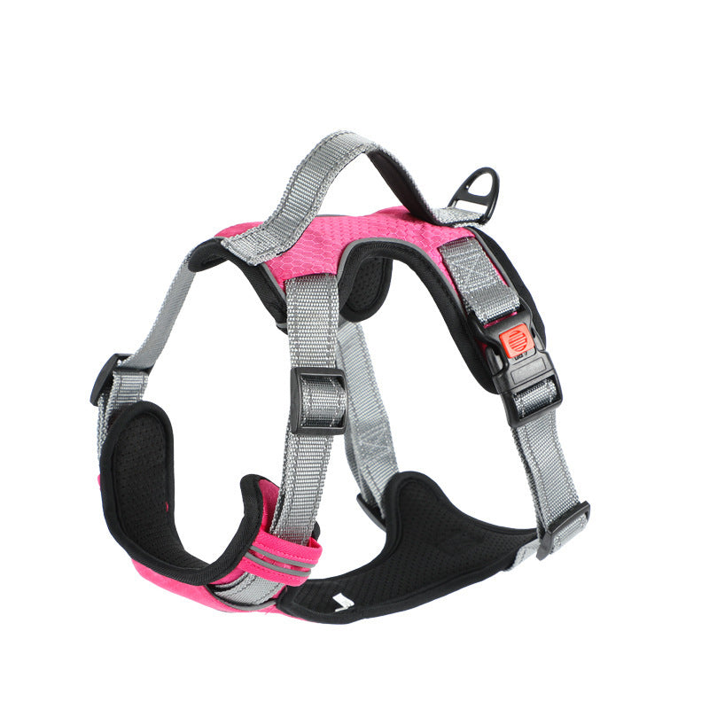 Dog Hand Holding Rope Vest Dog