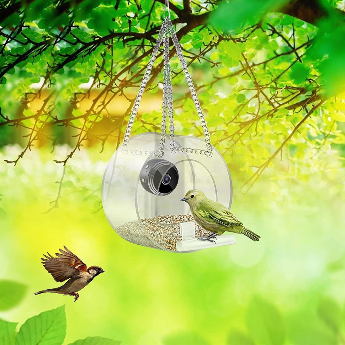 Pet Smart Feeder Outdoor Real-time