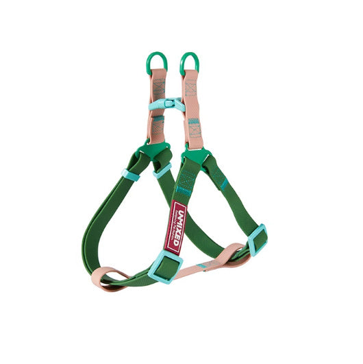 Dog Outing Hand Holding Rope