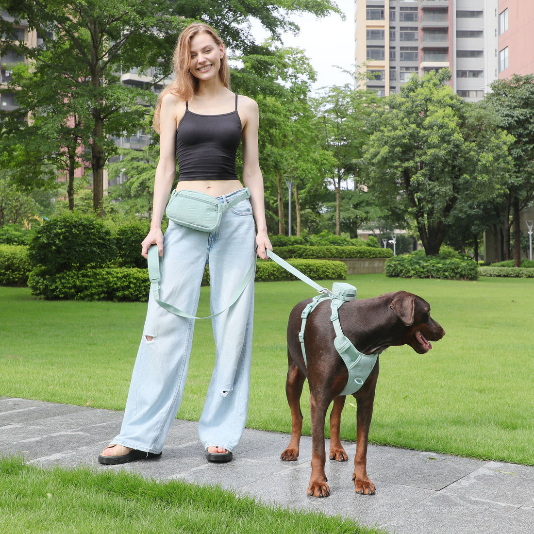 Pet Collar Explosion-proof Leash