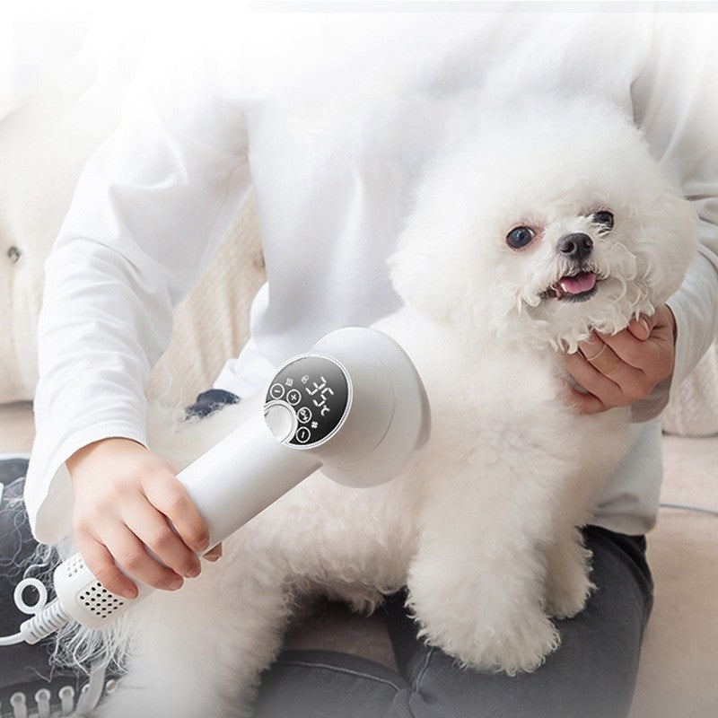 Smart Pet Hair Dryer Dog Golden Retriever