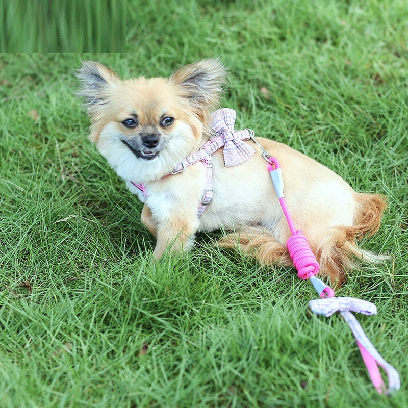 Small And Medium-sized Pet Leash