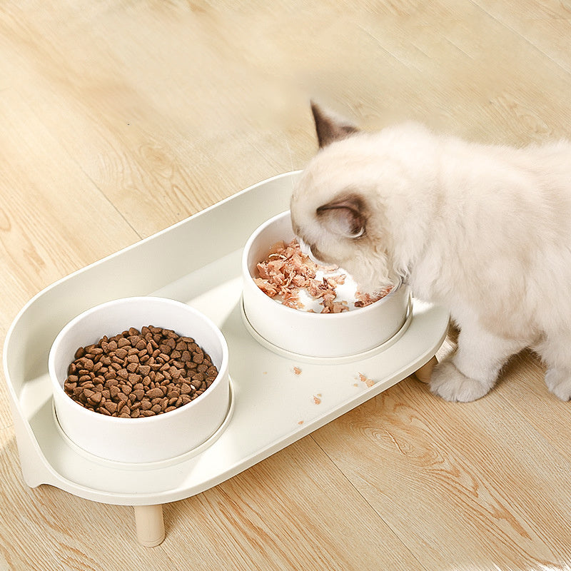 Pet Bowl Tilted Cat Double Bowls Protect