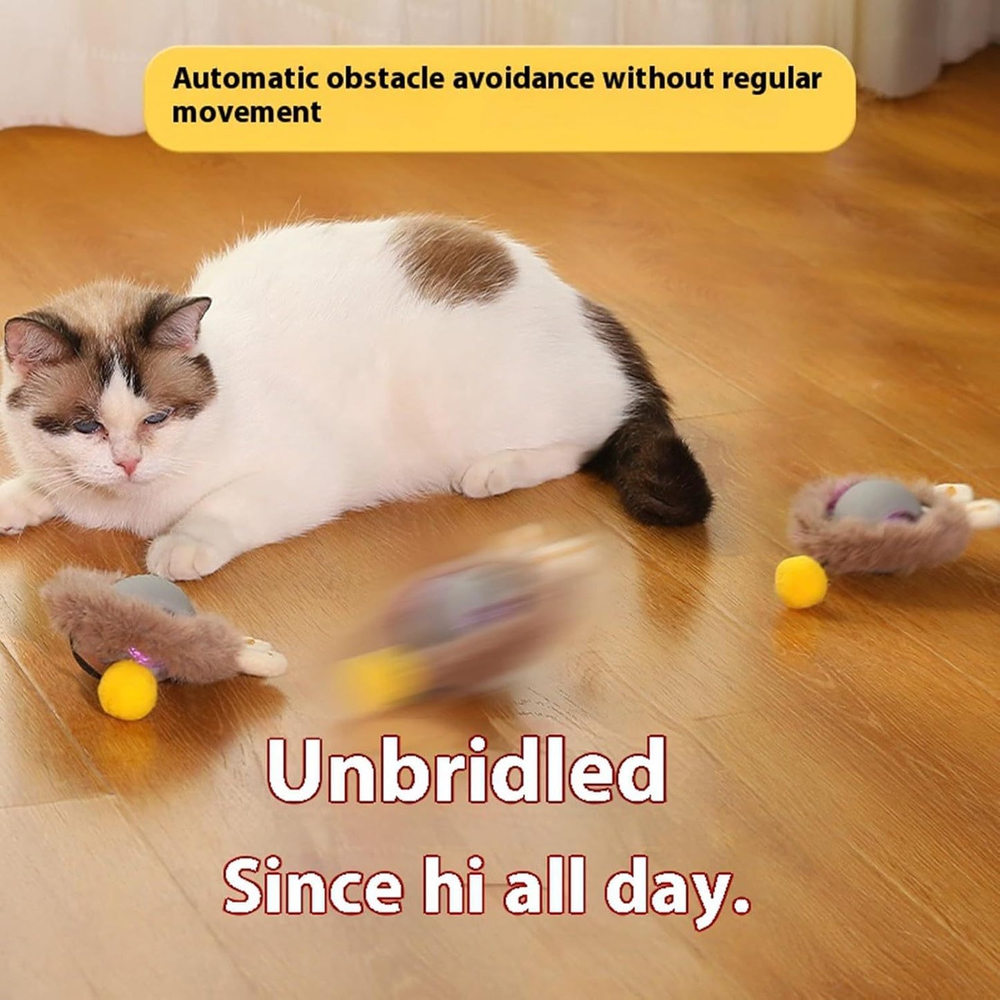 Interactive Cat Toys Rolling Ball Dog