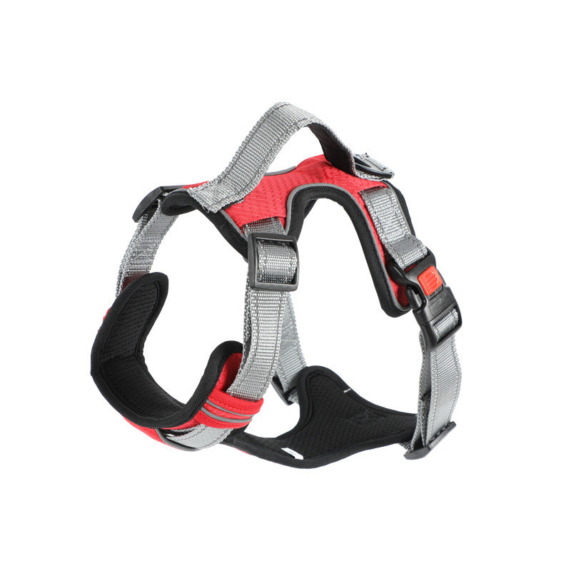 Dog Hand Holding Rope Vest Dog