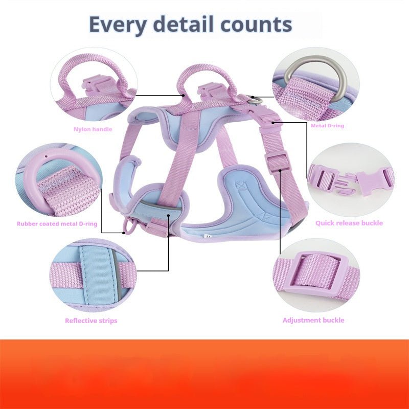 Hand Holding Rope Dog Leash