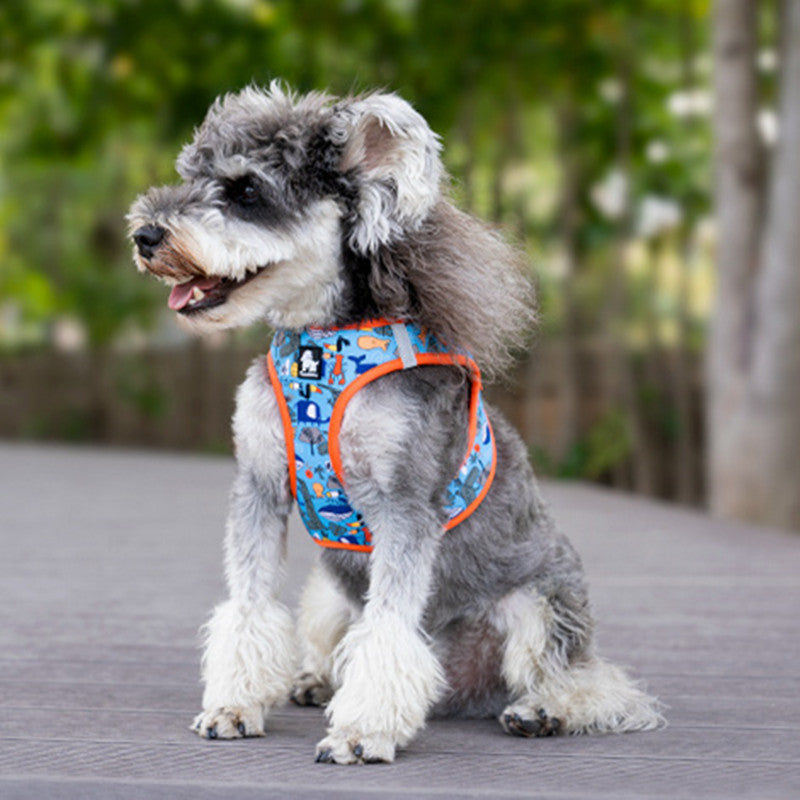 Dog Hand Holding Leash Breathable Lightweight