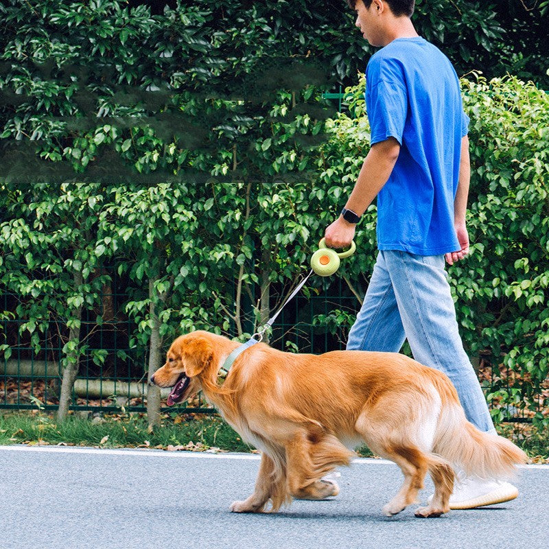 Dog Leash Pet Leash Reflective Rope