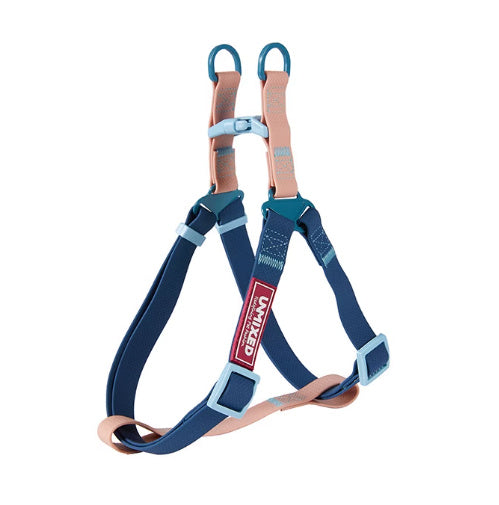 Dog Outing Hand Holding Rope