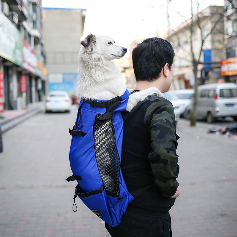 Pet Dog Carrier