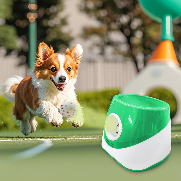 Interactive Training Pet Tennis Launcher