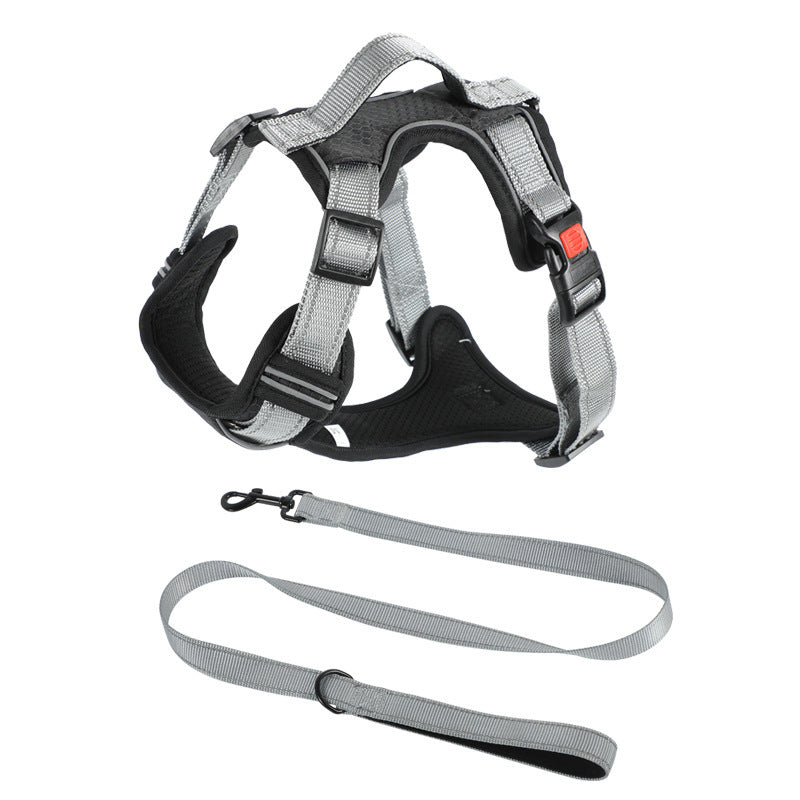 Dog Hand Holding Rope Vest Dog