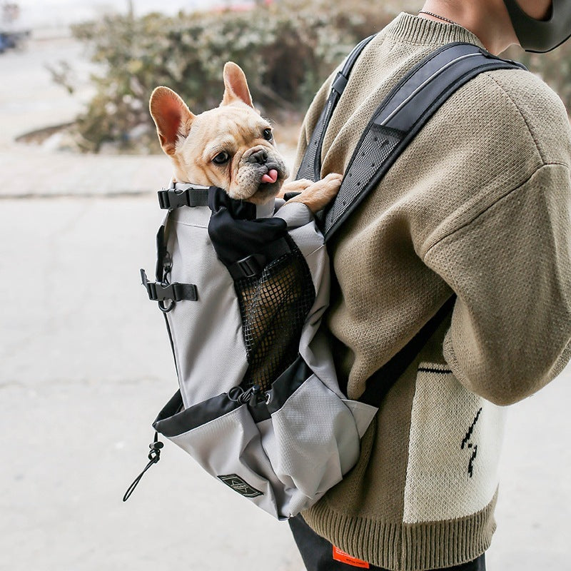 Pet Dog Carrier
