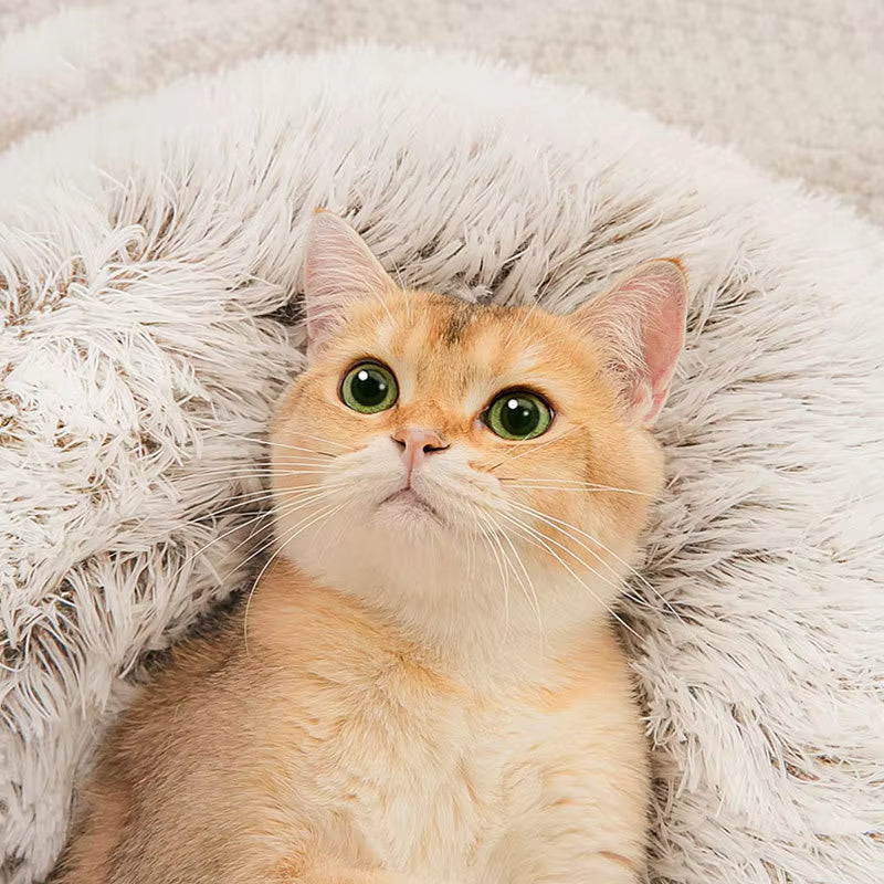 Winter Long Plush Pet Cat Bed