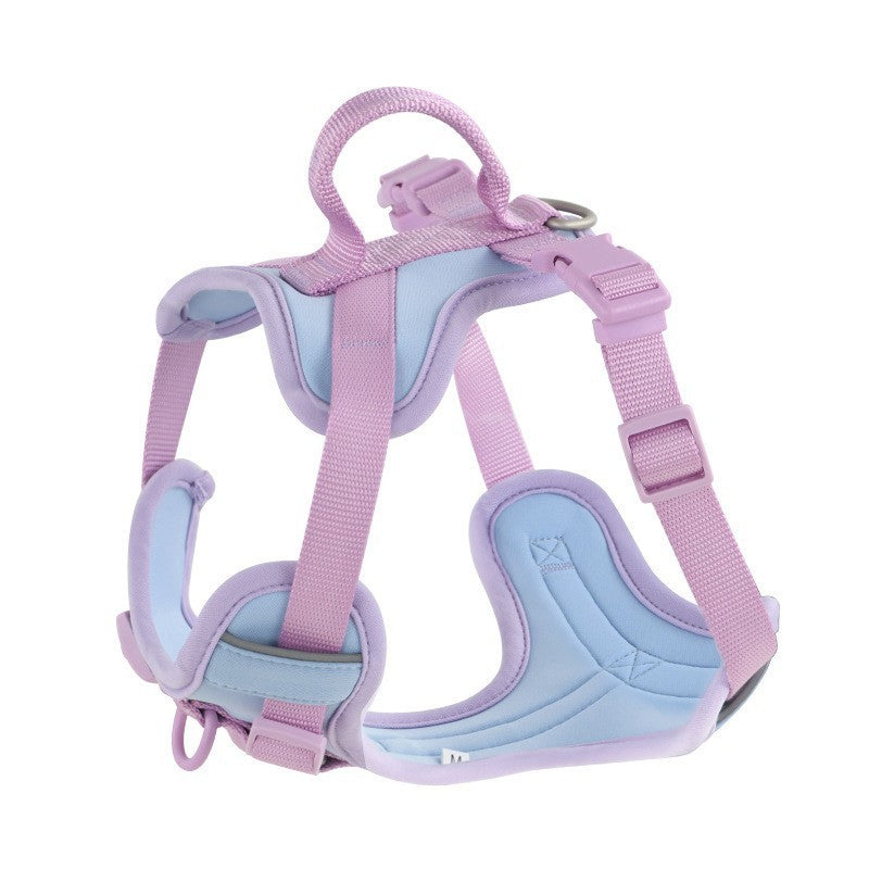 Hand Holding Rope Dog Leash
