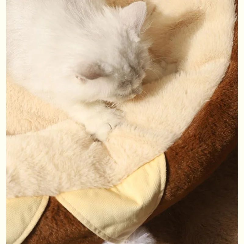 Cats Sofa Round Bed