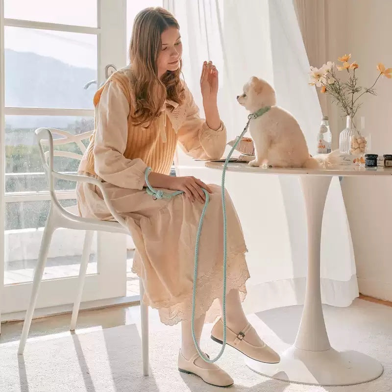 Pet Small And Medium Size Leash