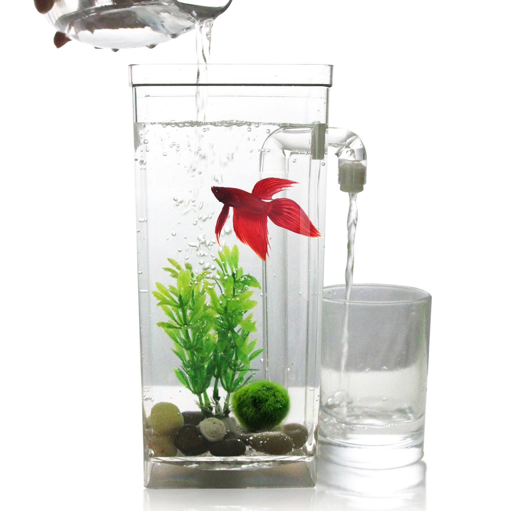 Plastic creative goldfish small aquarium fish tank