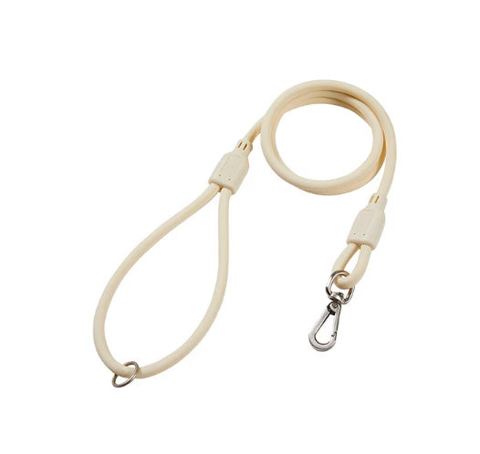 Dog Outing Hand Holding Rope