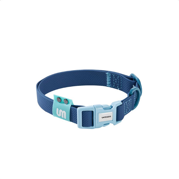 Dog Outing Hand Holding Rope