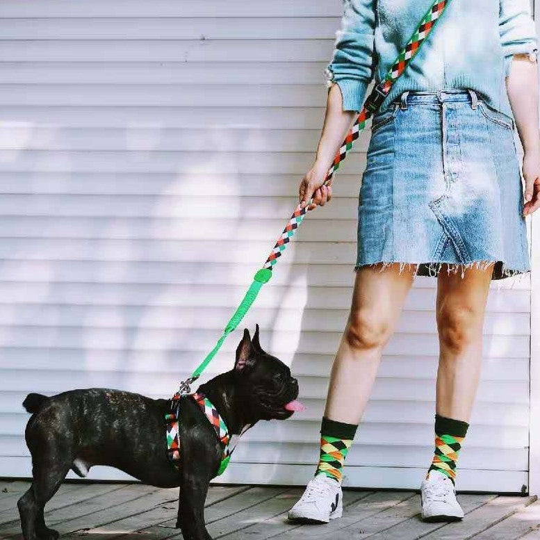 Multifunctional Buffer Traction Pet Leash