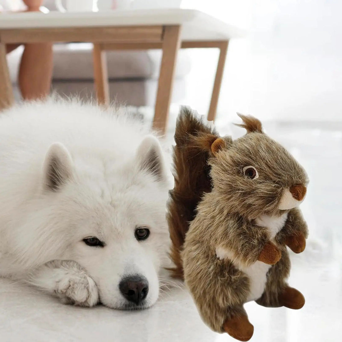 Squeaky Dog Toy Pet Toy Dog Biting Toy
