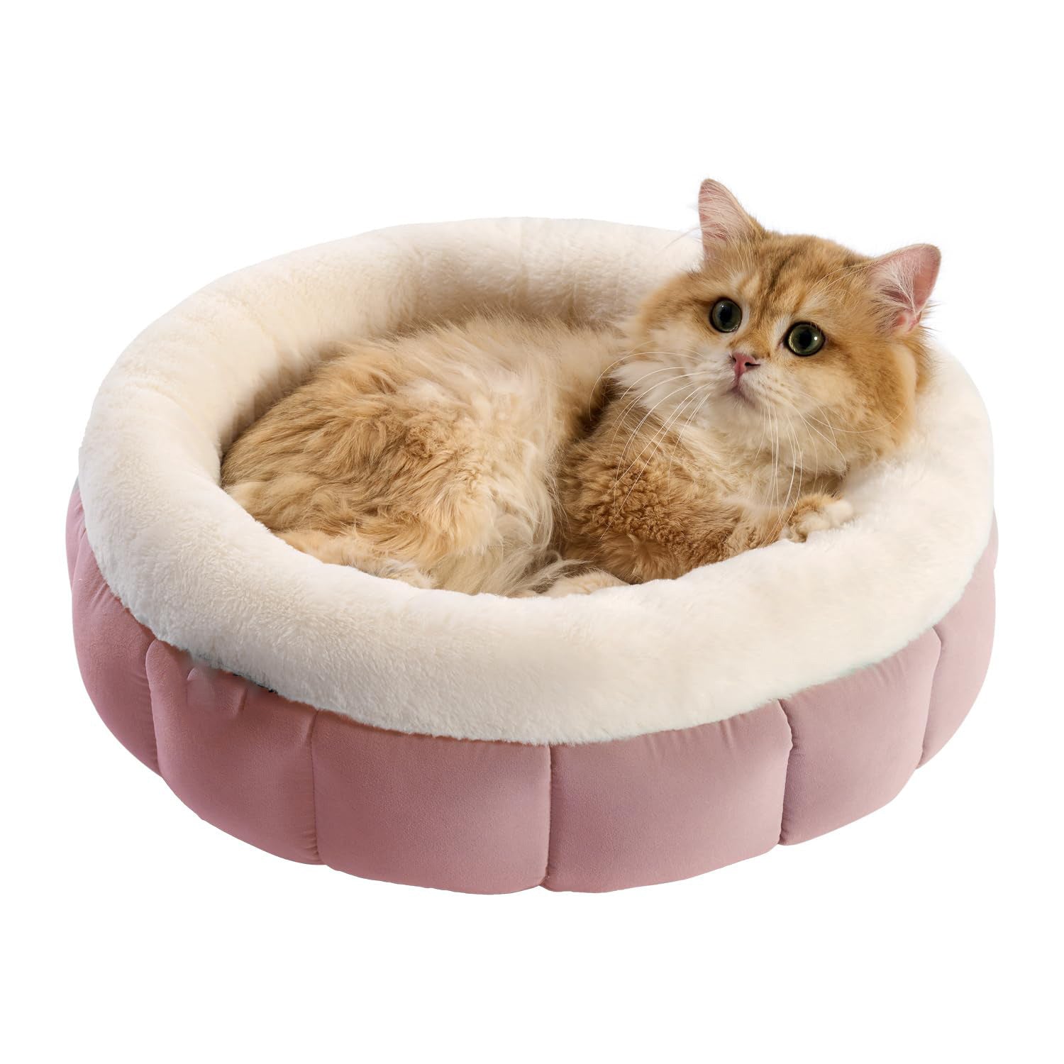 Donut Bed For Small Dogs