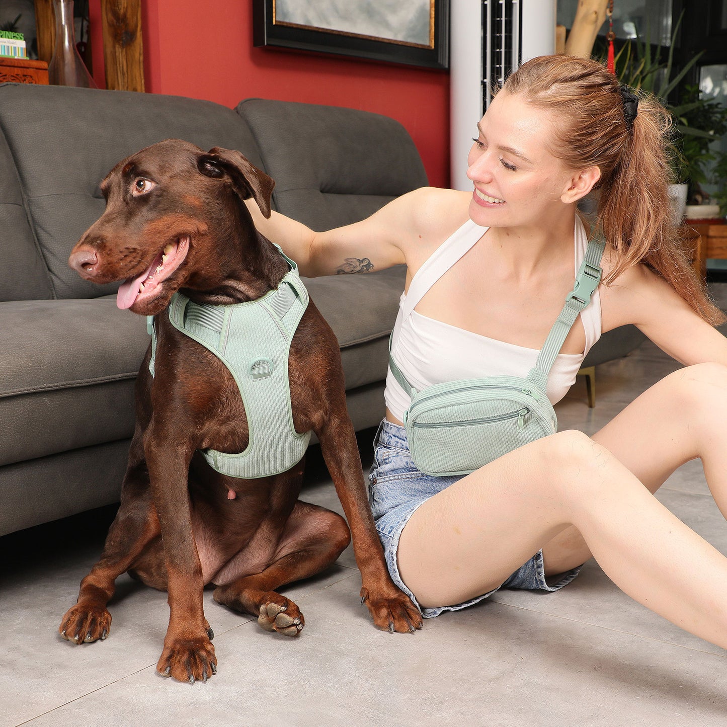 Pet Collar Explosion-proof Leash