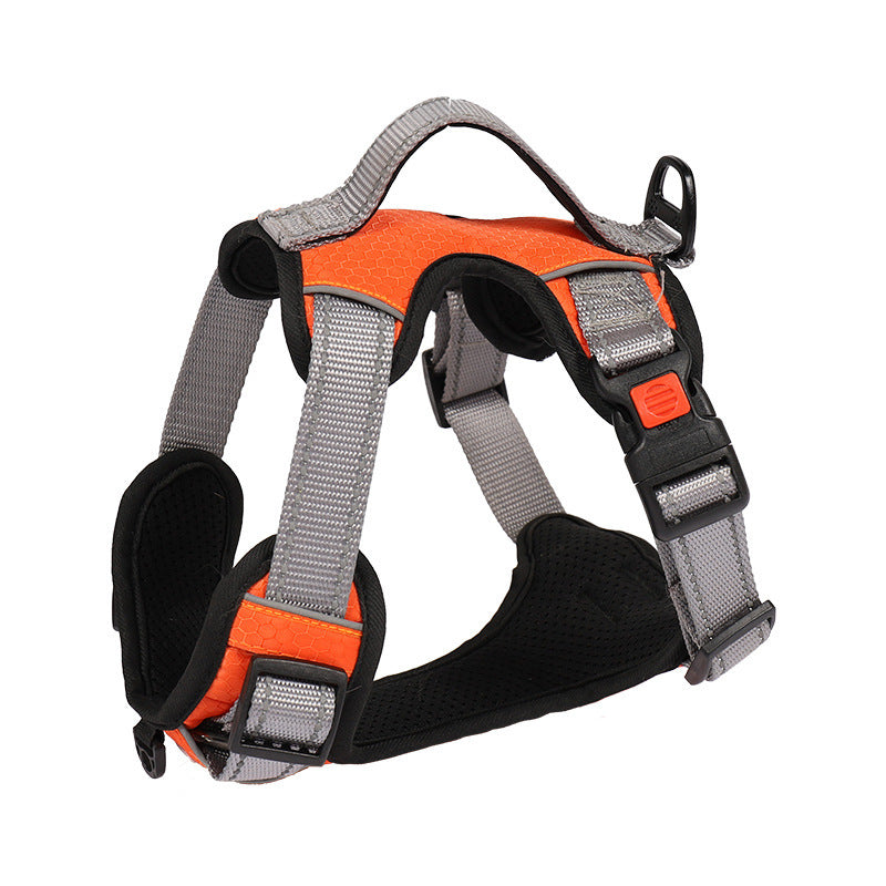 Dog Hand Holding Rope Vest Dog