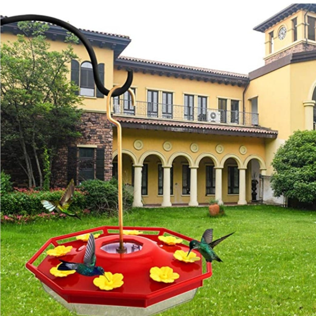 Creative Home Hummingbird Feeder