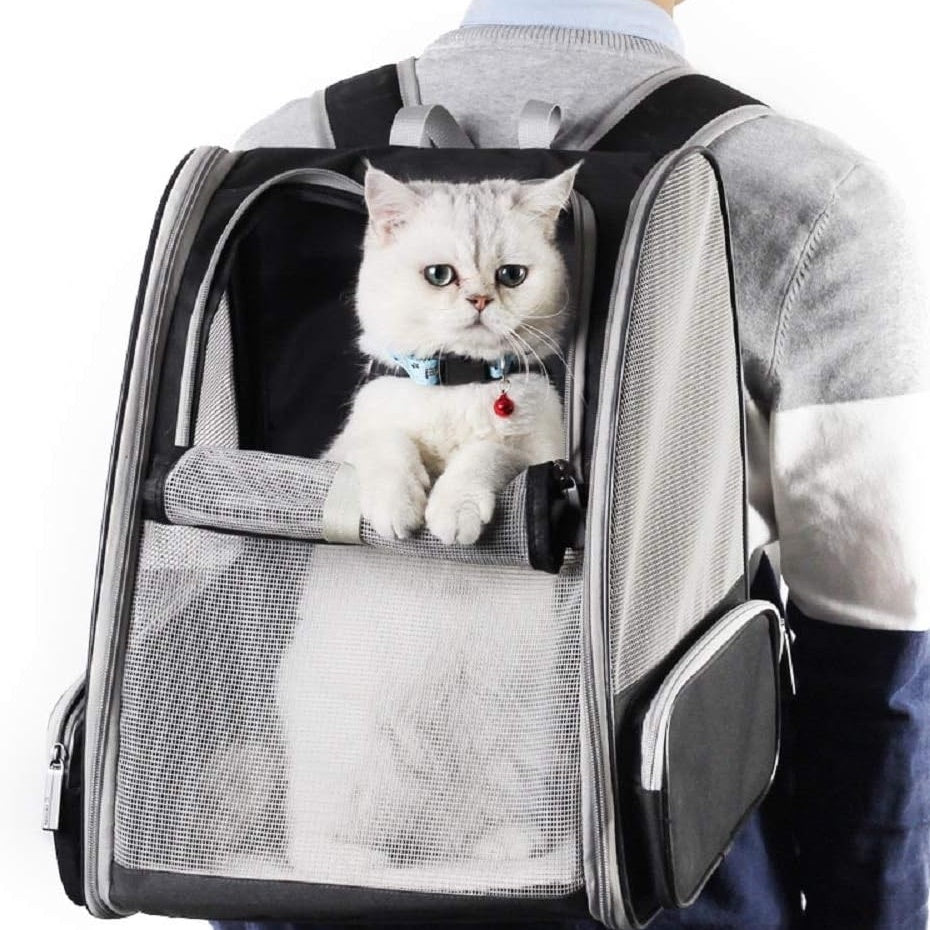 Innovative Traveler Bubble Backpack Pet Carriers