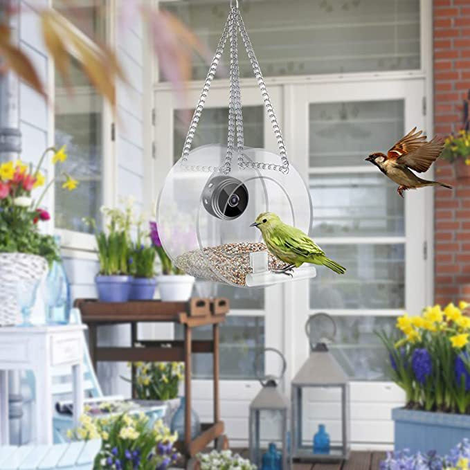 Pet Smart Feeder Outdoor Real-time