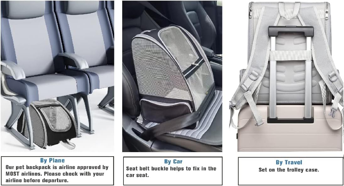 Innovative Traveler Bubble Backpack Pet Carriers