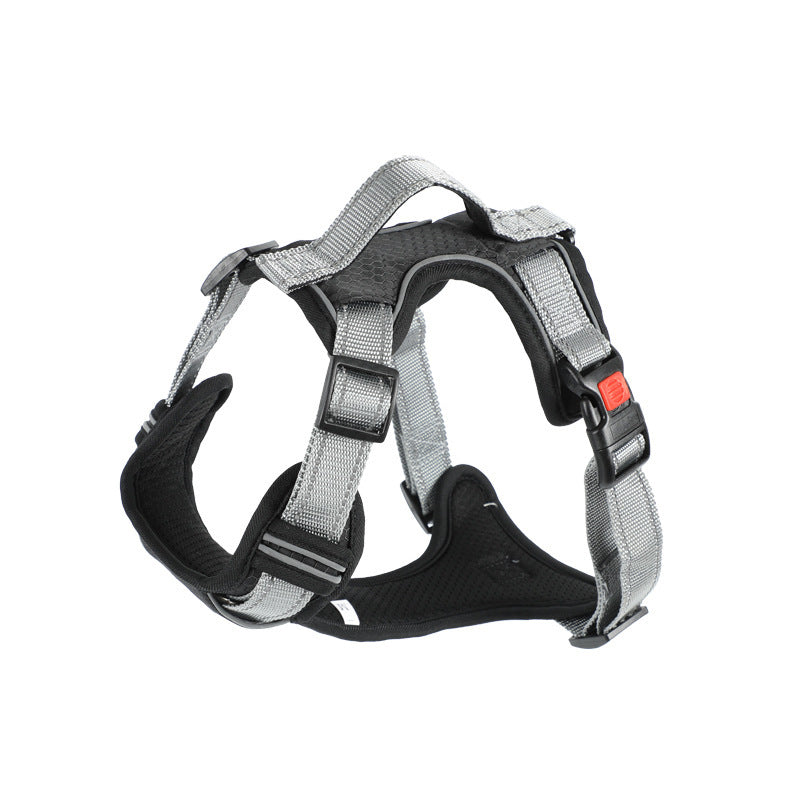 Dog Hand Holding Rope Vest Dog