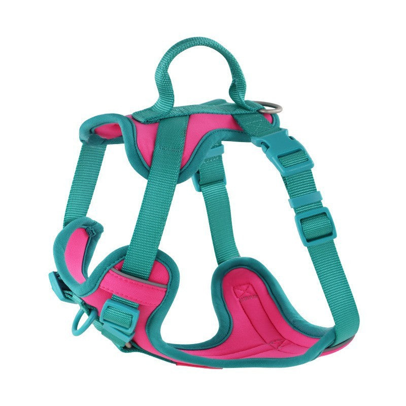 Hand Holding Rope Dog Leash