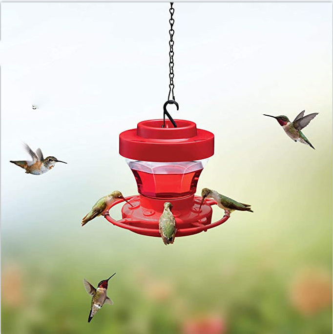 Bird Water Drinker Feeder Waterer