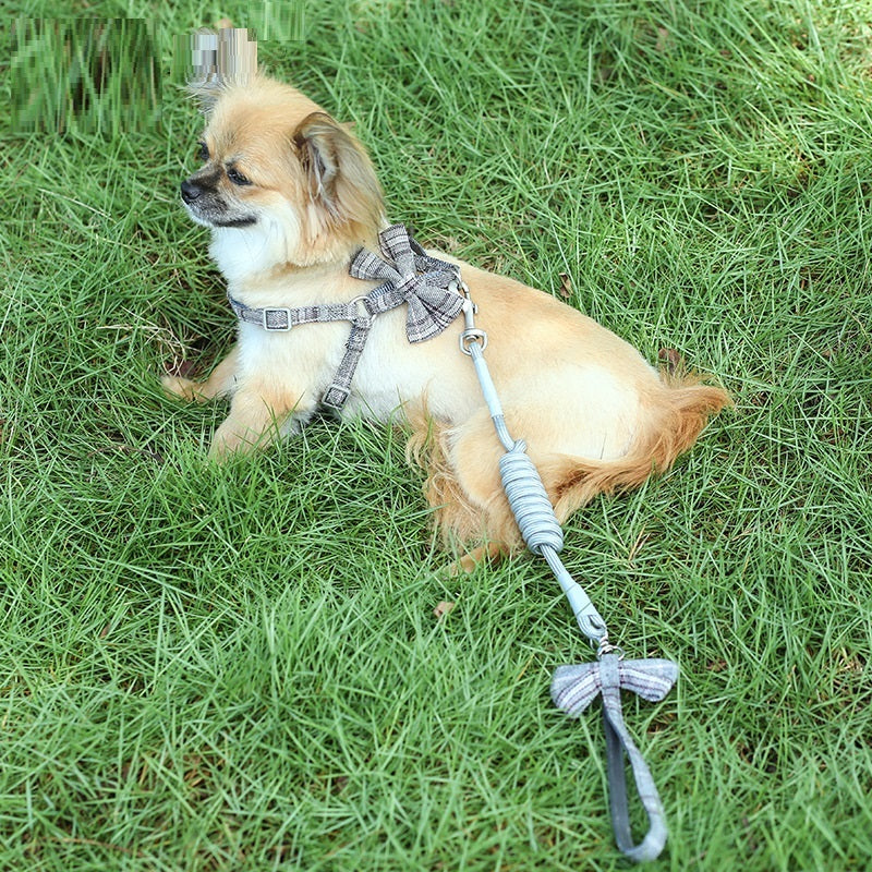 Small And Medium-sized Pet Leash