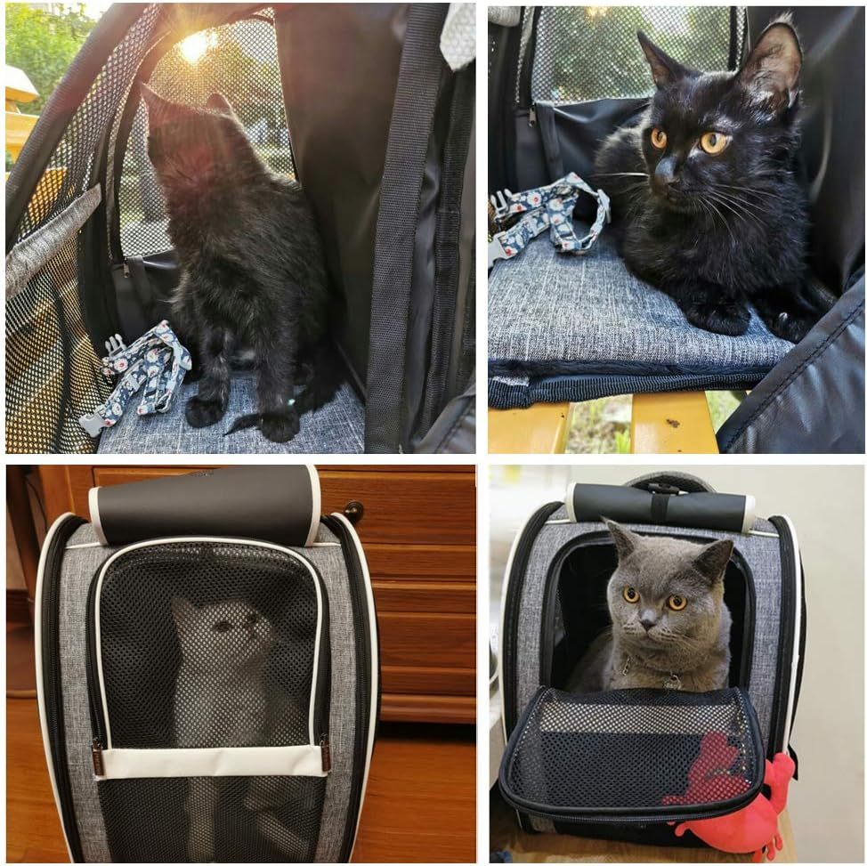 Innovative Traveler Bubble Backpack Pet Carriers