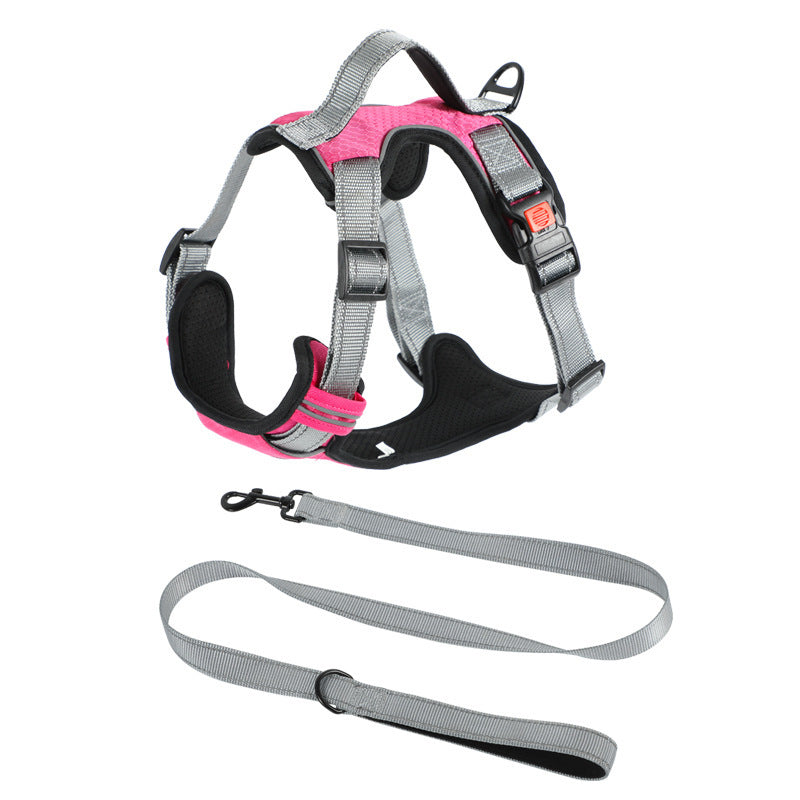 Dog Hand Holding Rope Vest Dog