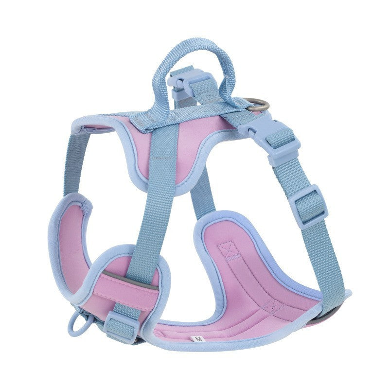 Hand Holding Rope Dog Leash