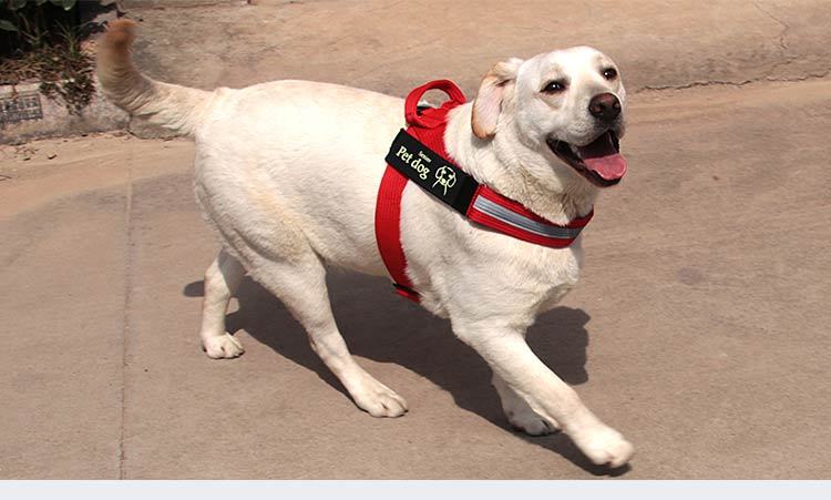 Large Dog Vest Type Chest Harness