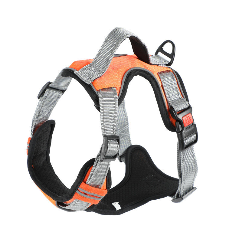 Dog Hand Holding Rope Vest Dog