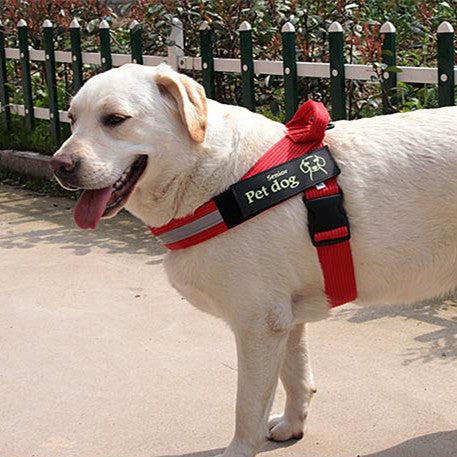 Large Dog Vest Type Chest Harness