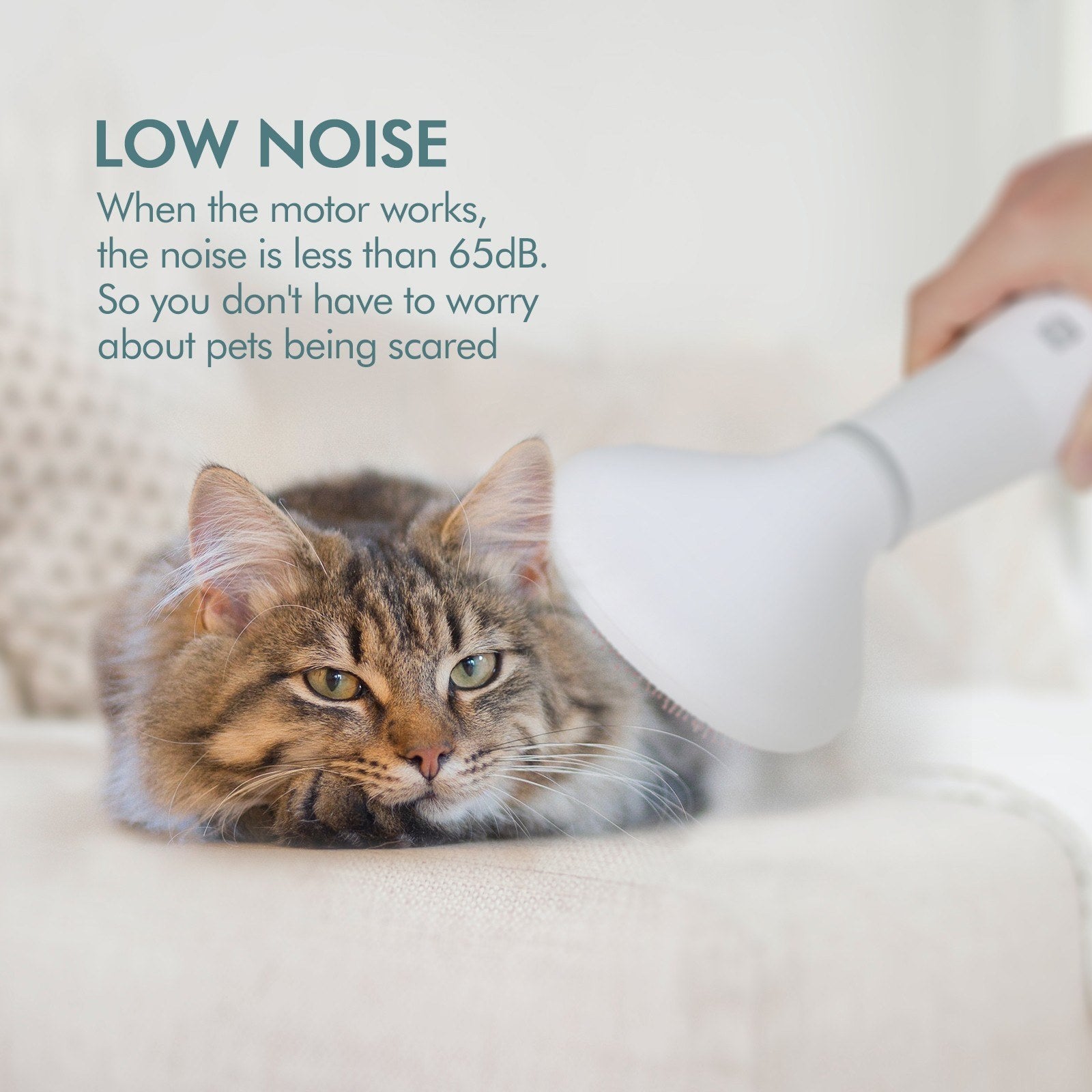 Pet Dog Hair Dryer Grooming Dryer Slicker Brush