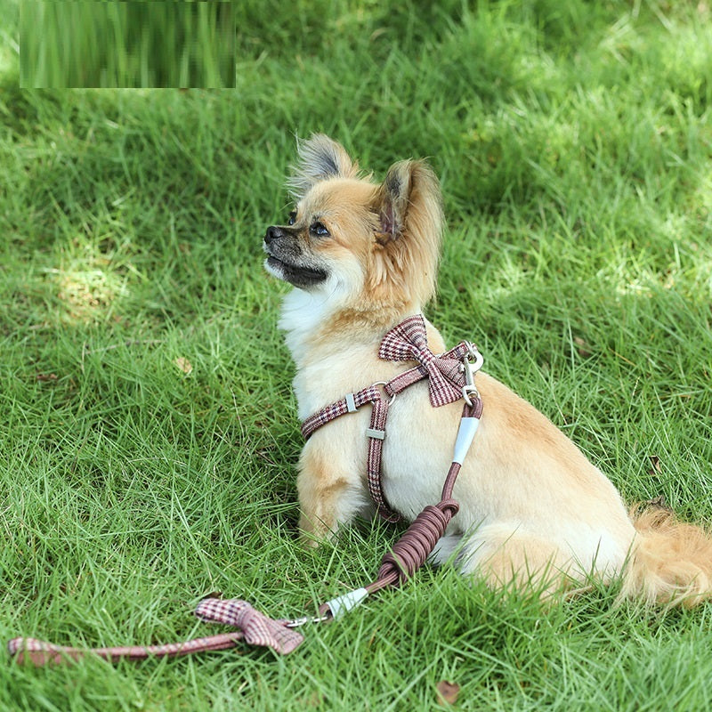 Small And Medium-sized Pet Leash
