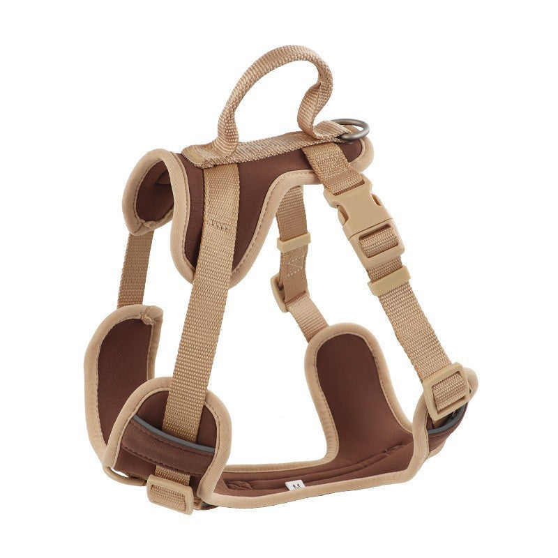 Hand Holding Rope Dog Leash