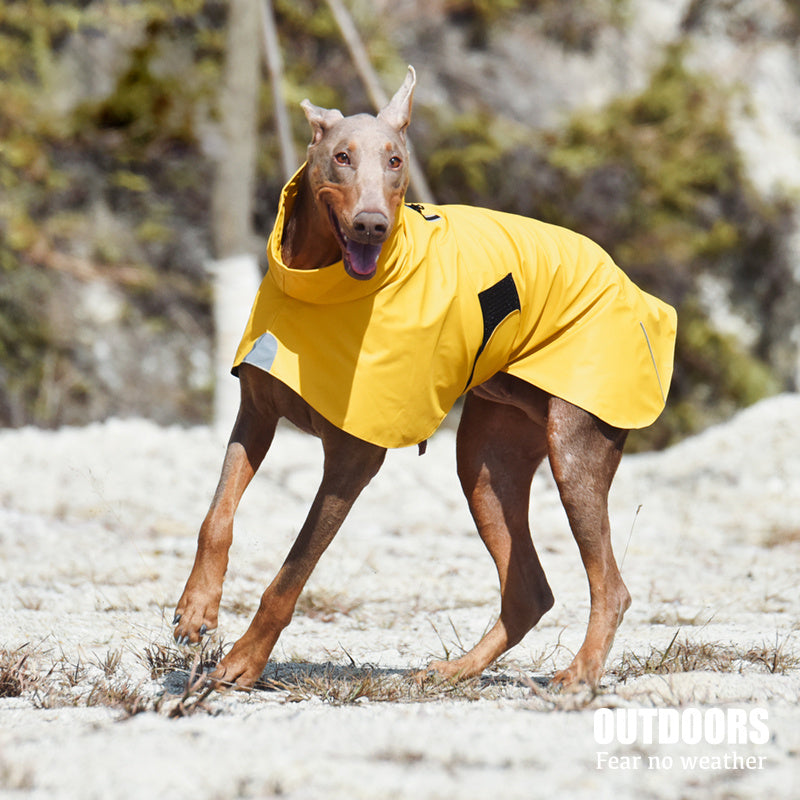 Pet Shell Jacket Dog Windproof Raincoat