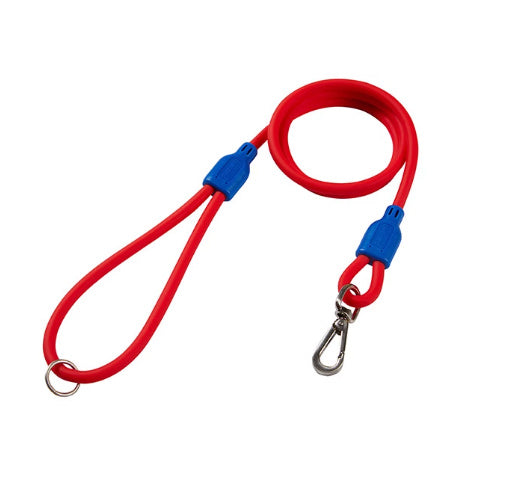 Dog Outing Hand Holding Rope